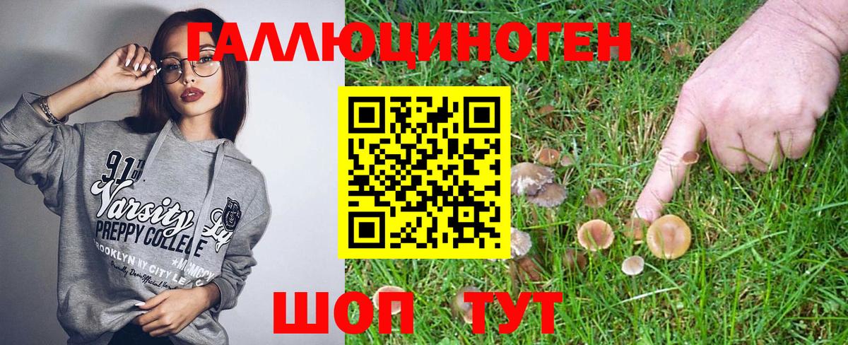 Псилоцибиновые грибы MAGIC MUSHROOMS Лабинск